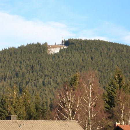 Hotel Gaestehaus Birke à Titisee-Neustadt Extérieur photo