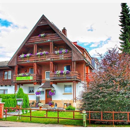 Hotel Gaestehaus Birke à Titisee-Neustadt Extérieur photo