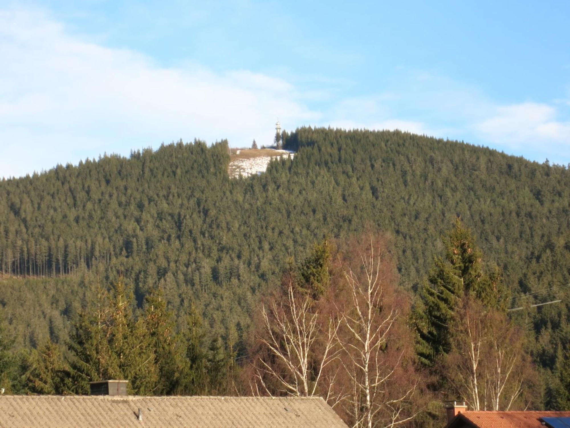 Hotel Gaestehaus Birke à Titisee-Neustadt Extérieur photo